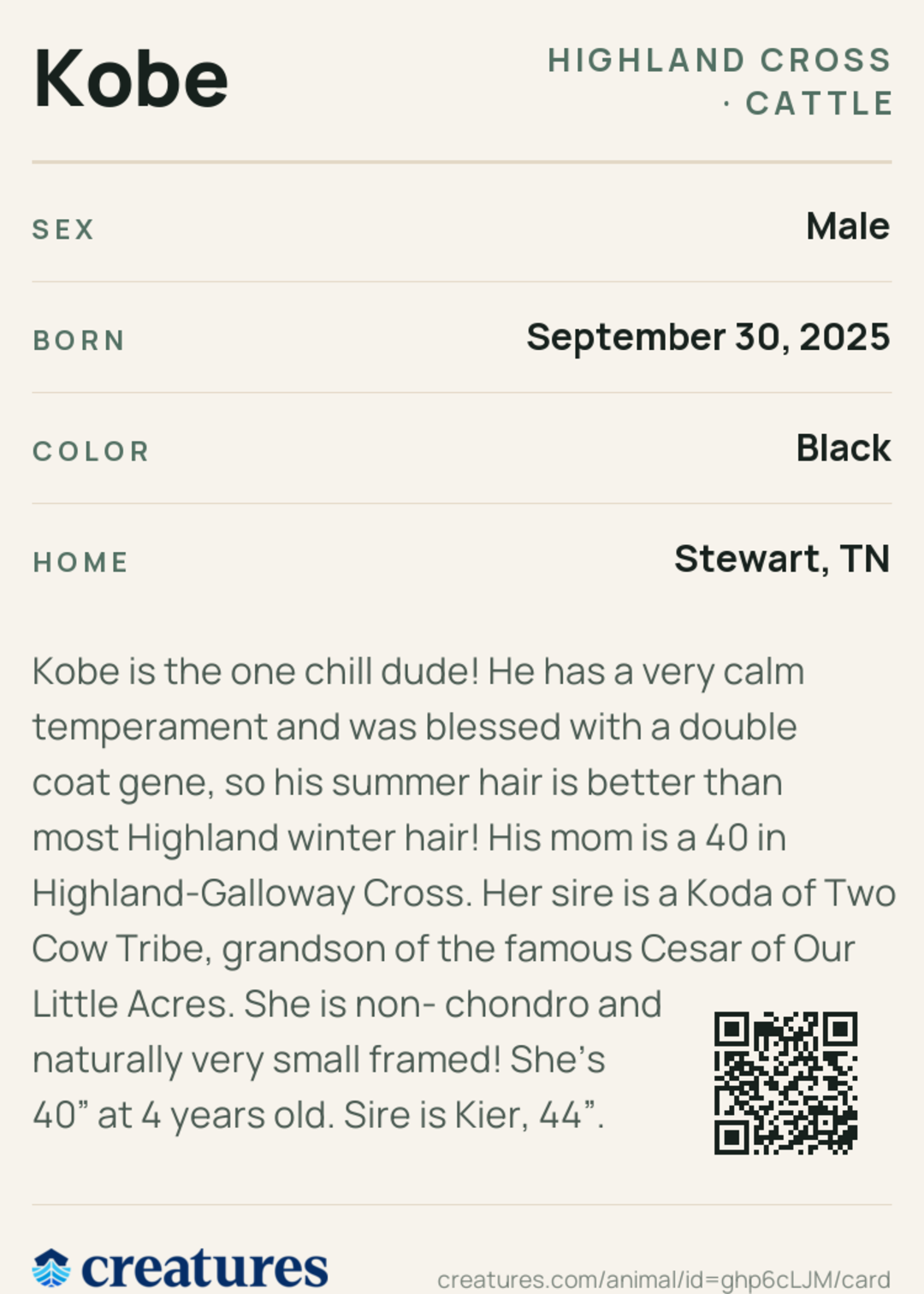Kobe Creature Card back