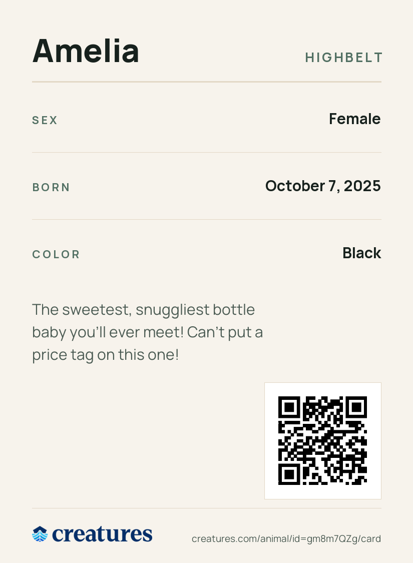 Amelia Creature Card back