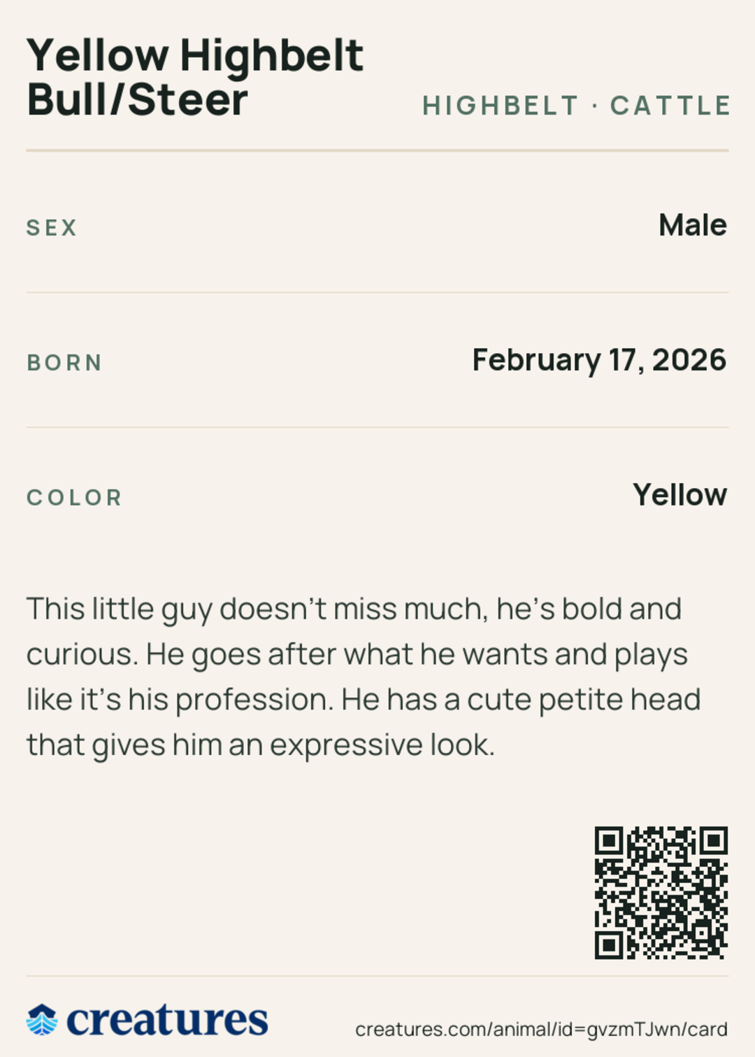Yellow Highbelt Bull/Steer Creature Card back