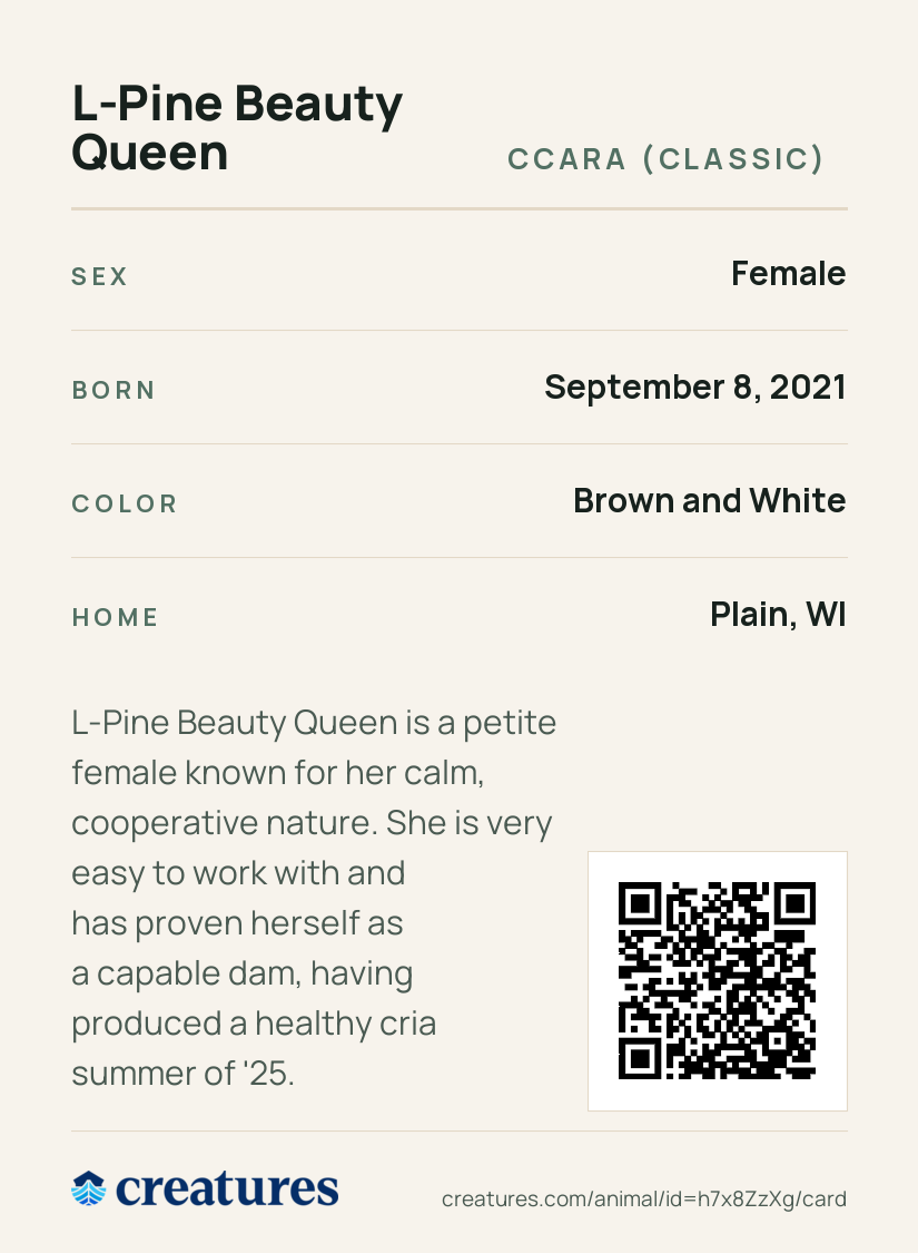 L-Pine Beauty Queen Creature Card back