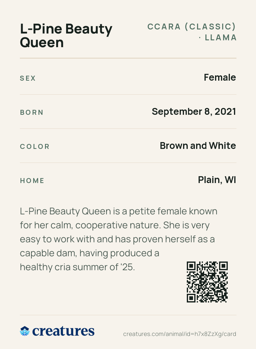 L-Pine Beauty Queen Creature Card back