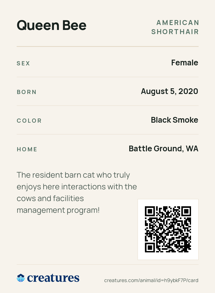 Queen Bee Creature Card back