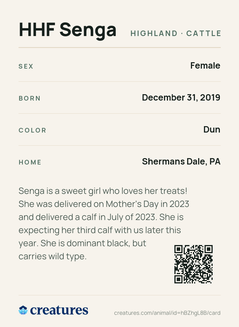 HHF Senga Creature Card back