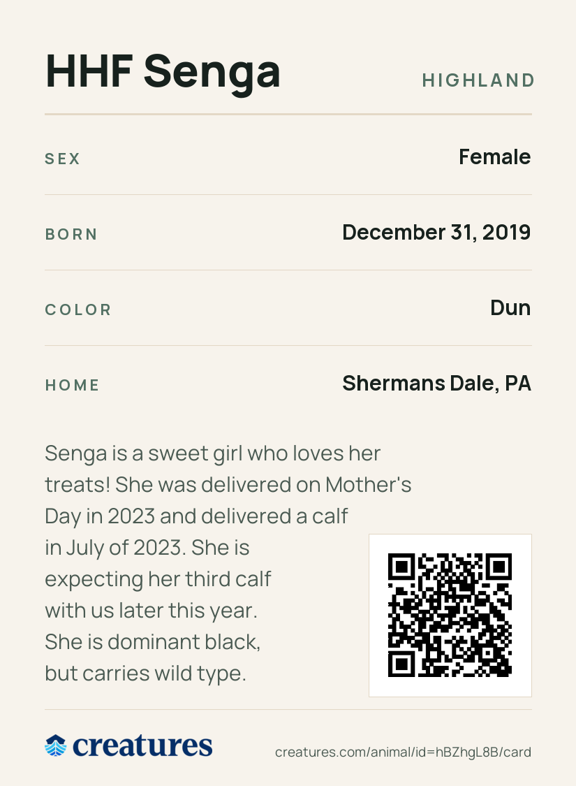 HHF Senga Creature Card back