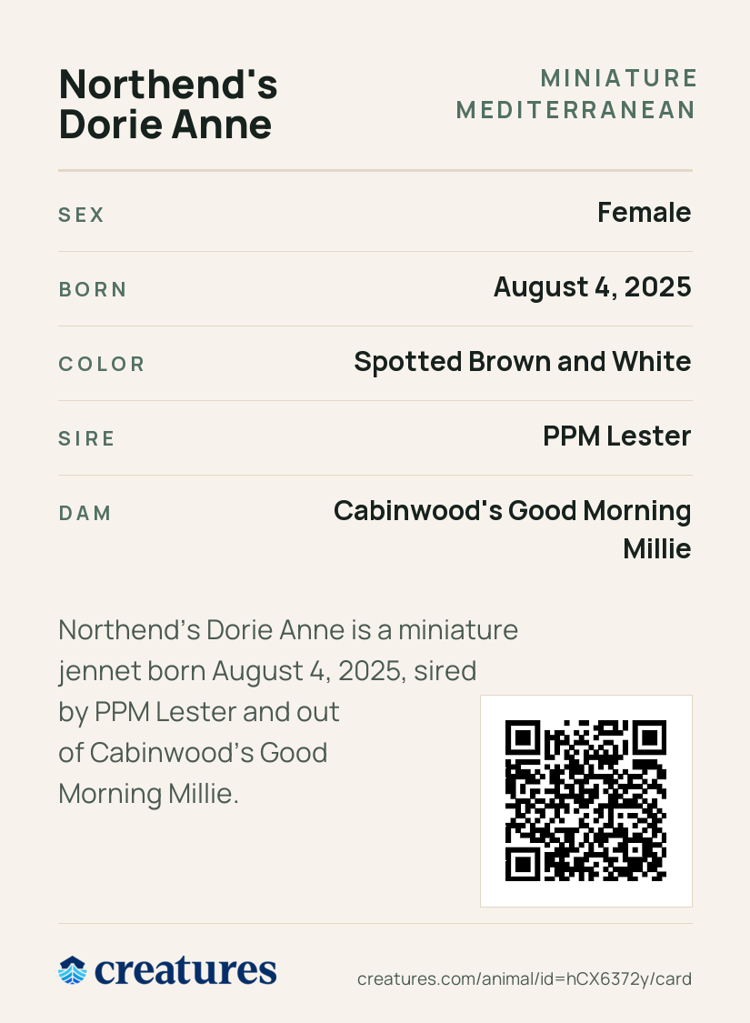 Northend's Dorie Anne Creature Card back