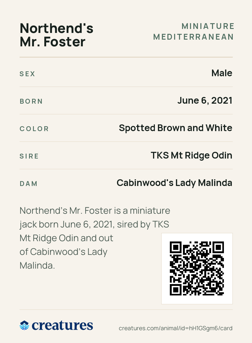 Northend's Mr. Foster Creature Card back