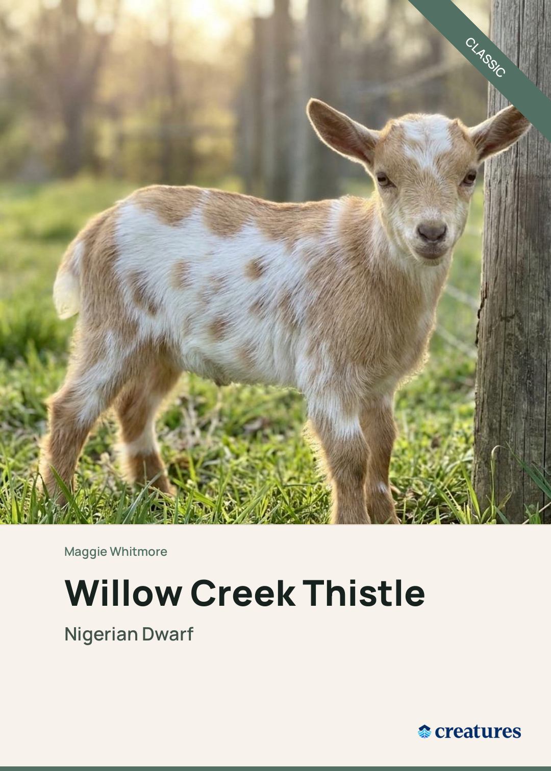 Willow Creek Thistle Creature Card