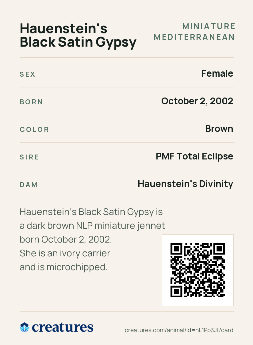 Hauenstein's Black Satin Gypsy Creature Card back