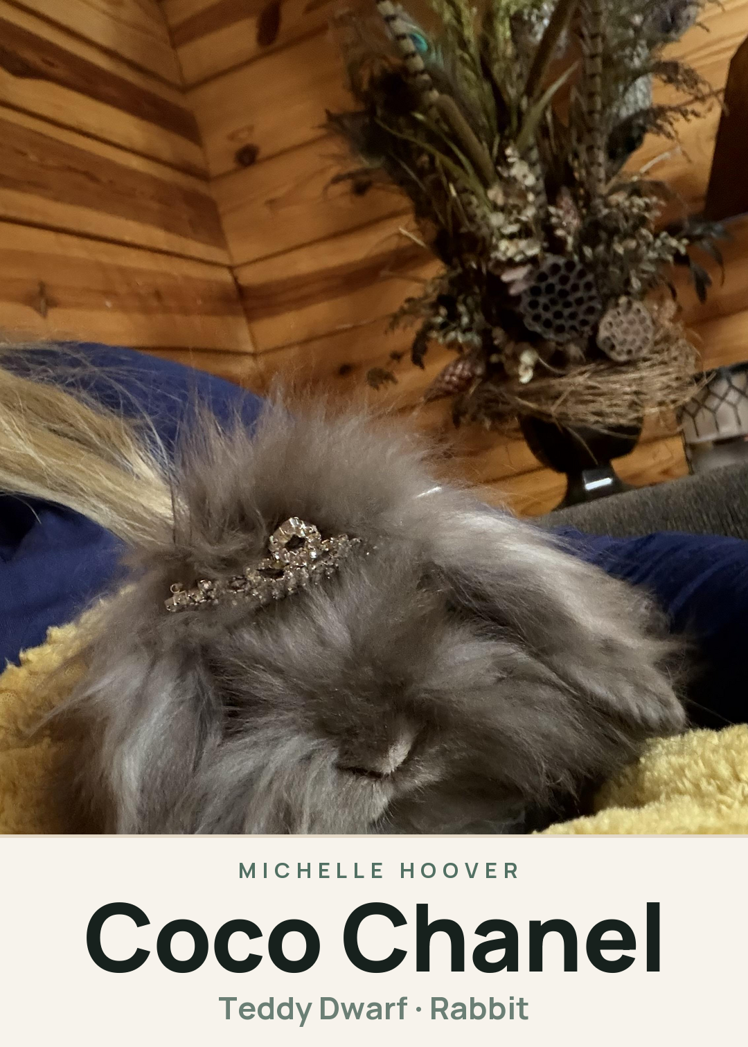 Coco Chanel Creature Card
