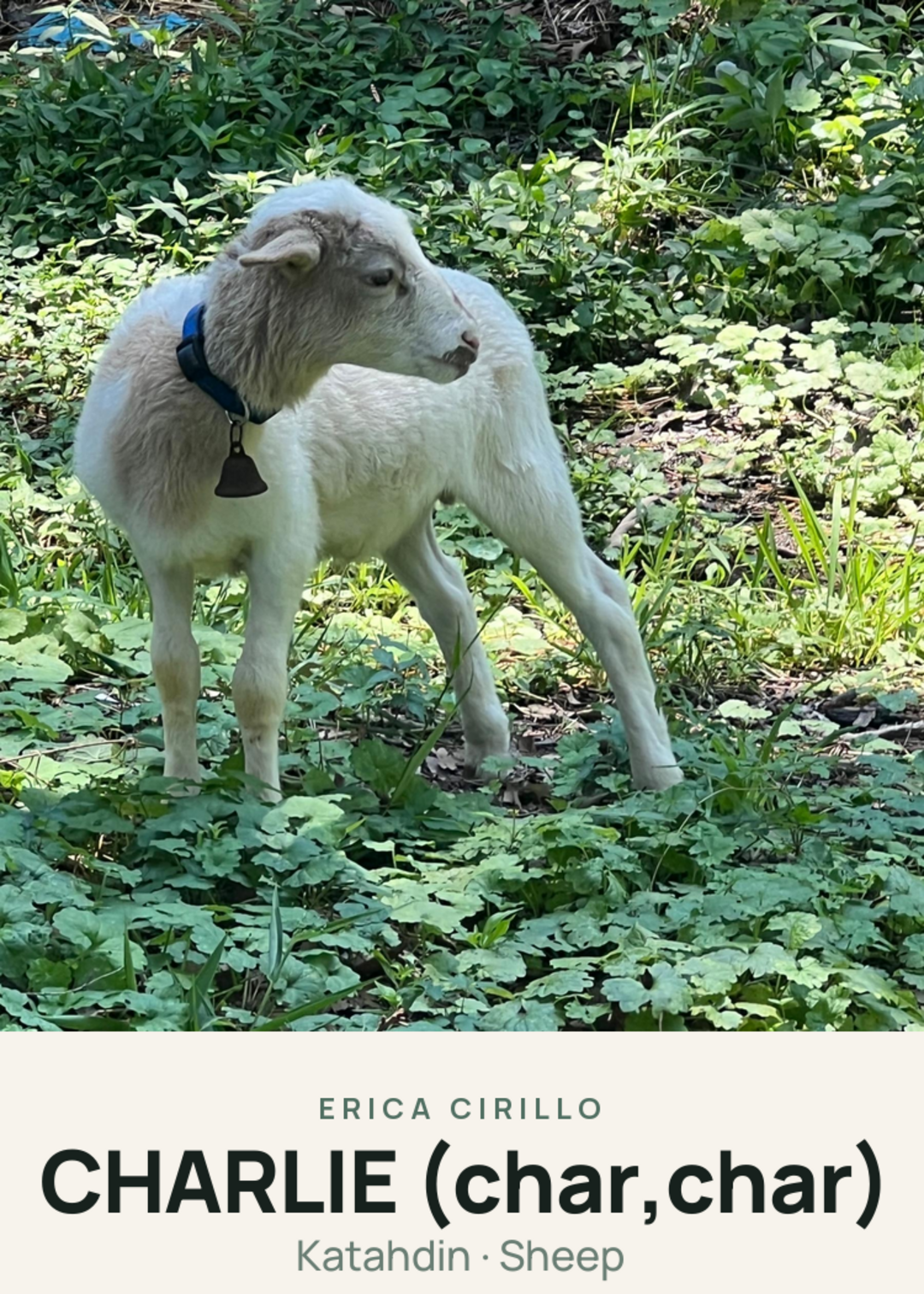 CHARLIE (char,char) Creature Card