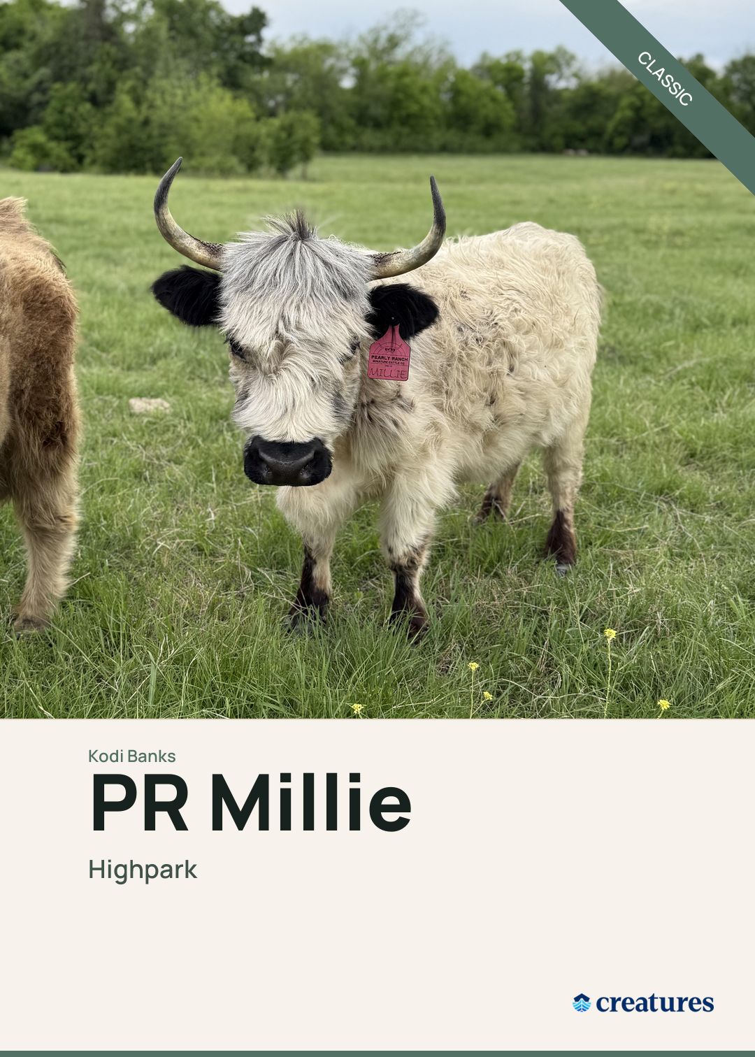 PR Millie Creature Card