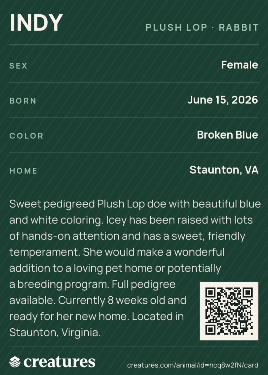 Indy Creature Card back