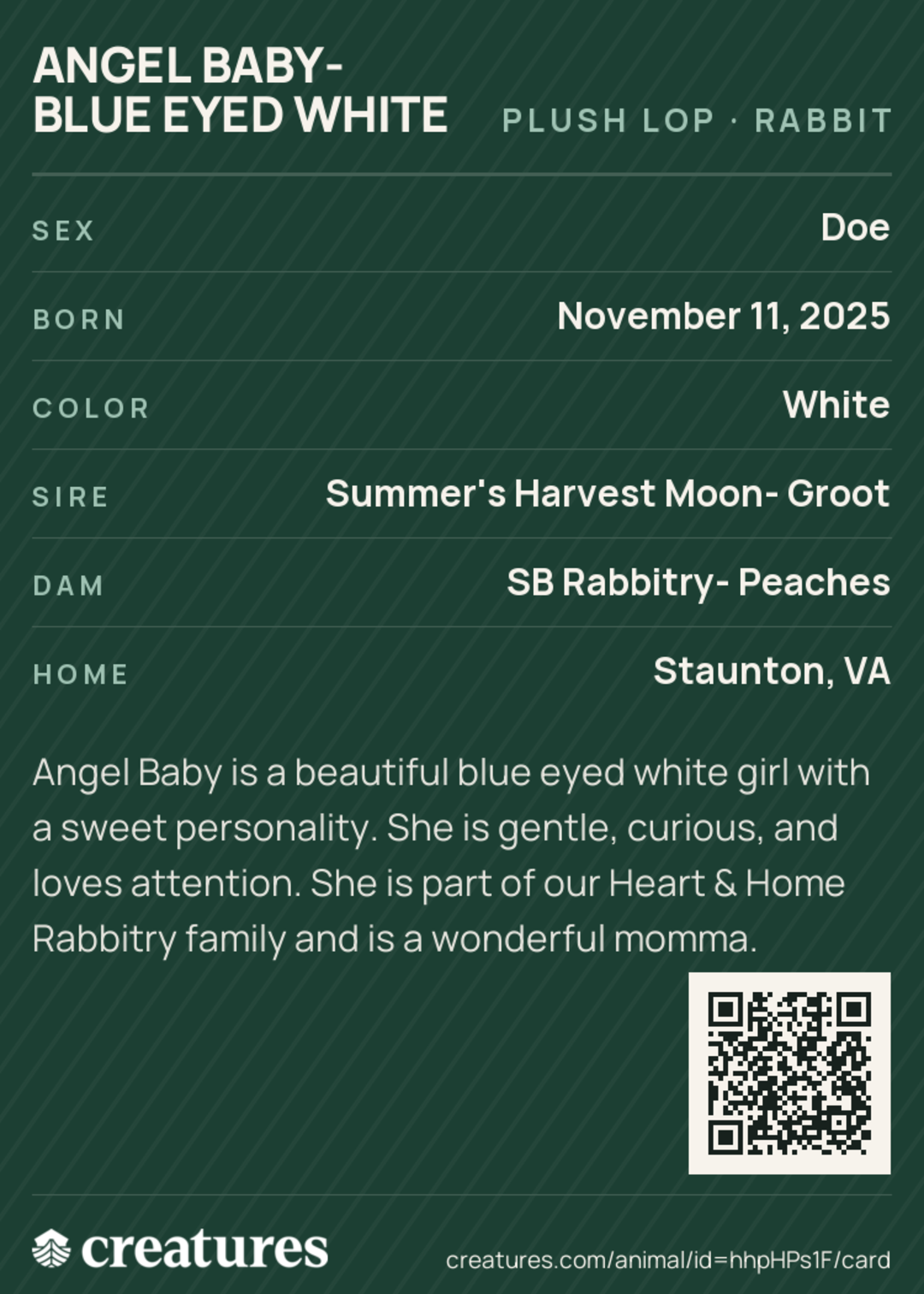 Angel Baby- Blue Eyed White Creature Card back