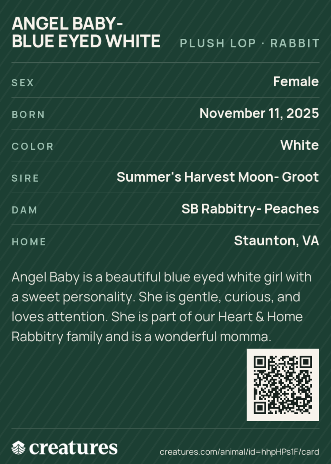 Angel Baby- Blue Eyed White Creature Card back