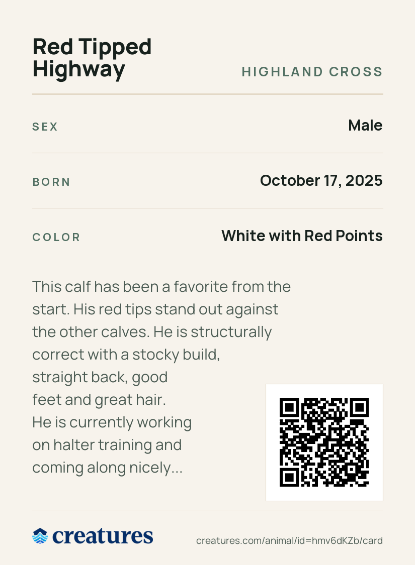 Red Tipped Highway Creature Card back