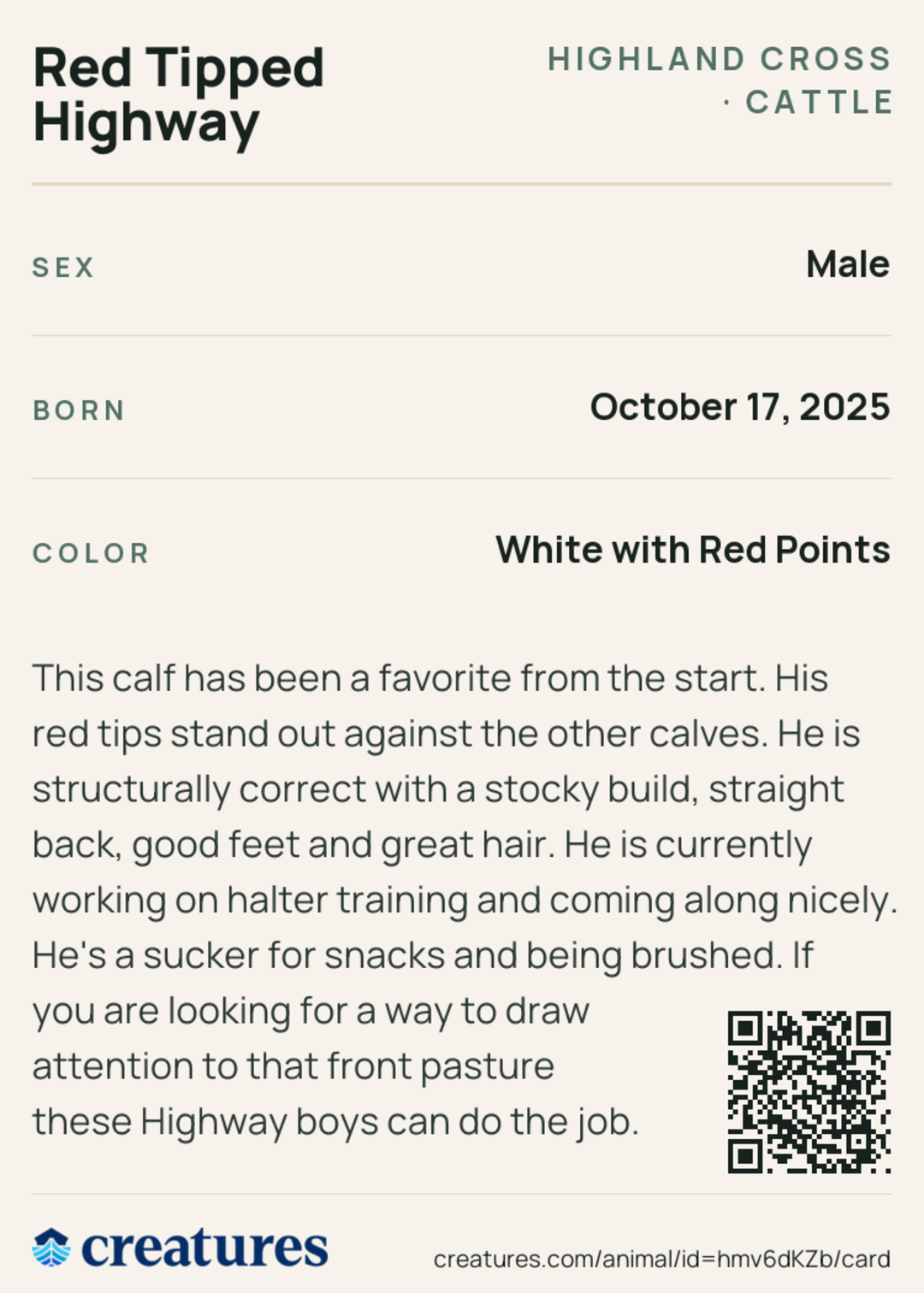 Red Tipped Highway Creature Card back
