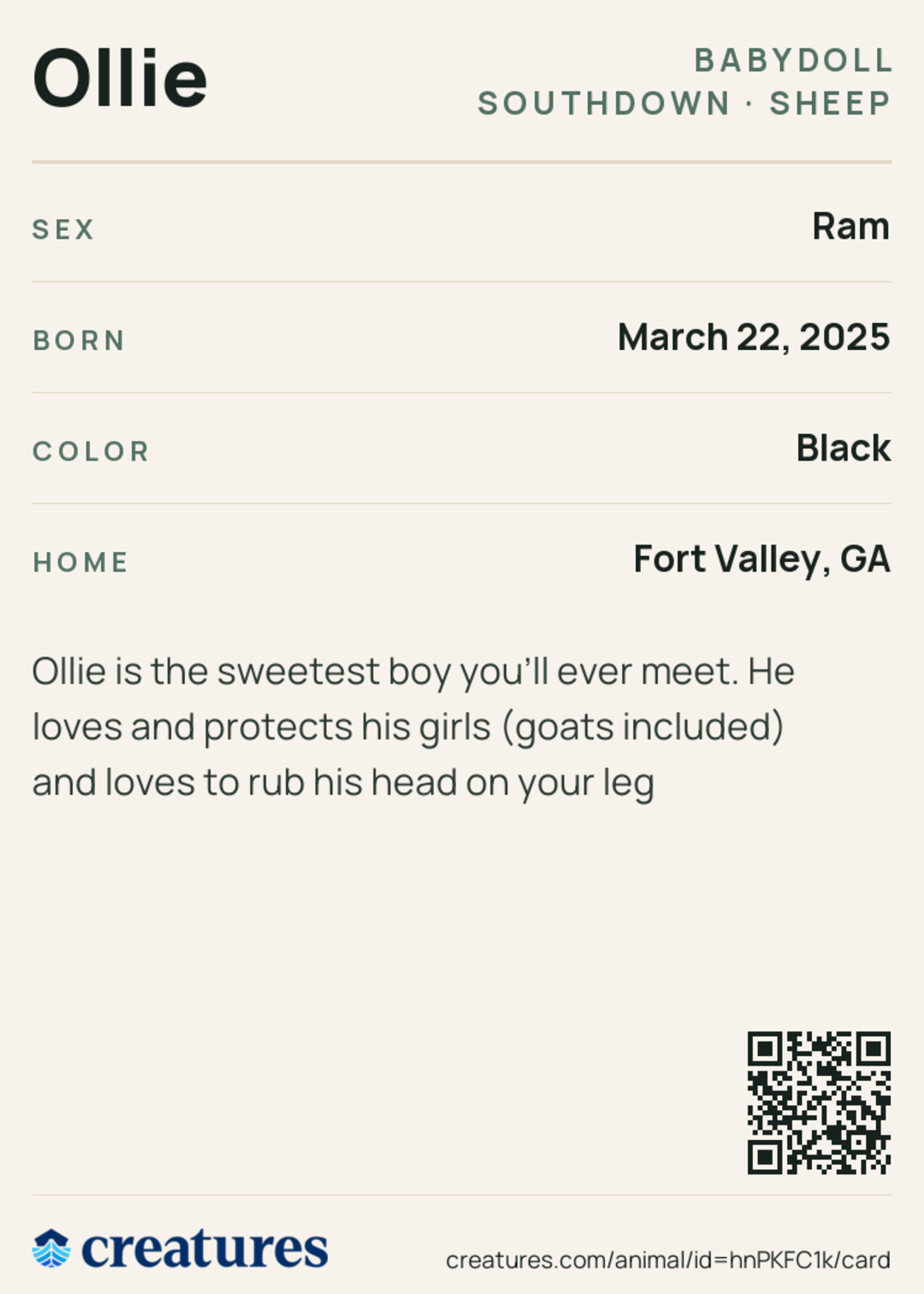 Ollie Creature Card back