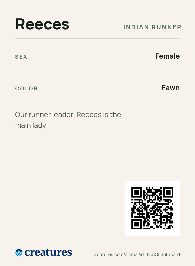 Reeces Creature Card back