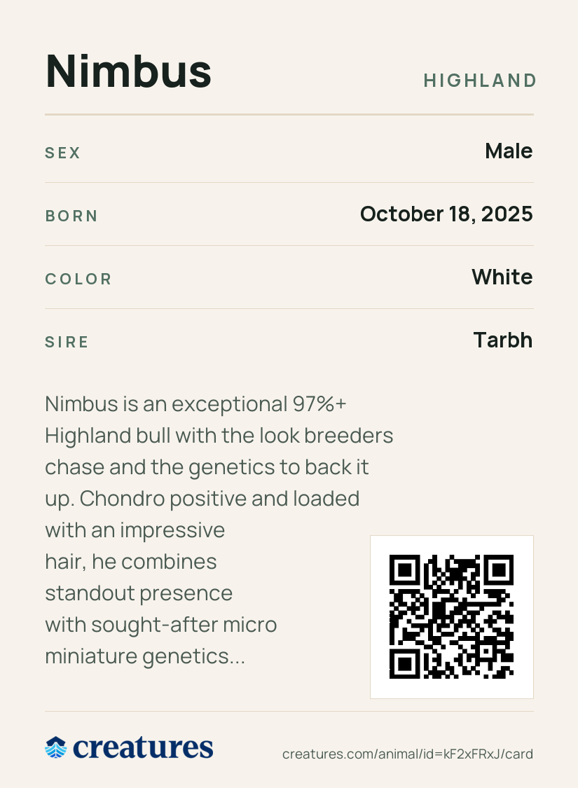 Nimbus Creature Card back