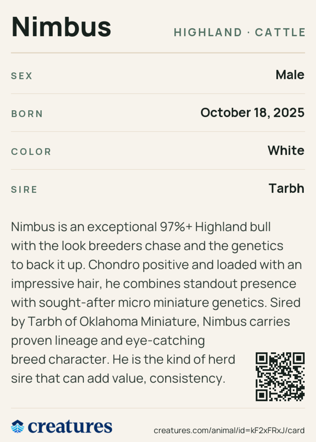 Nimbus Creature Card back