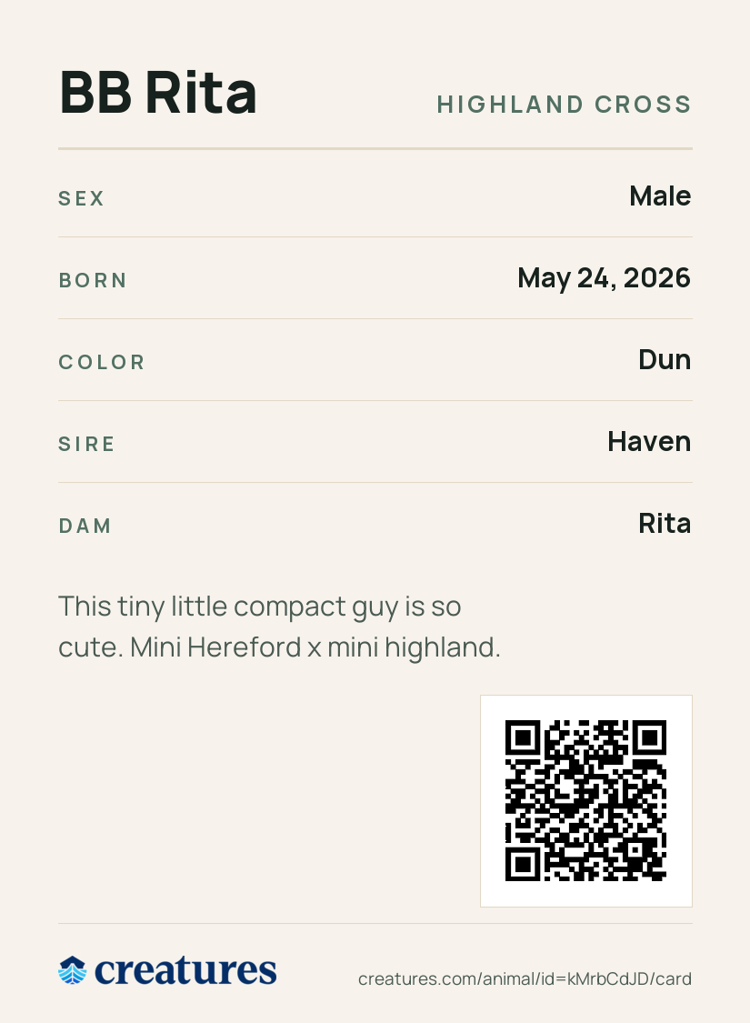 BB Rita Creature Card back