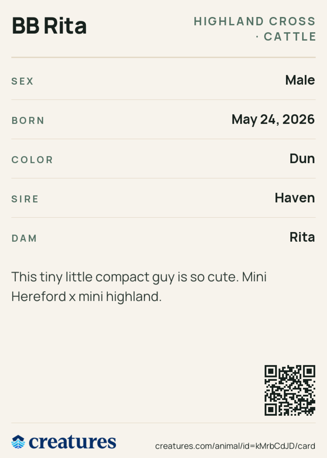 BB Rita Creature Card back