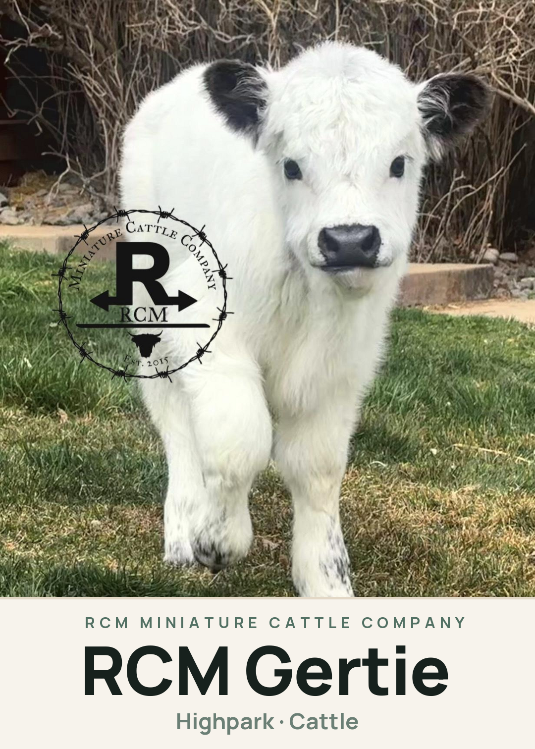 RCM Gertie Creature Card