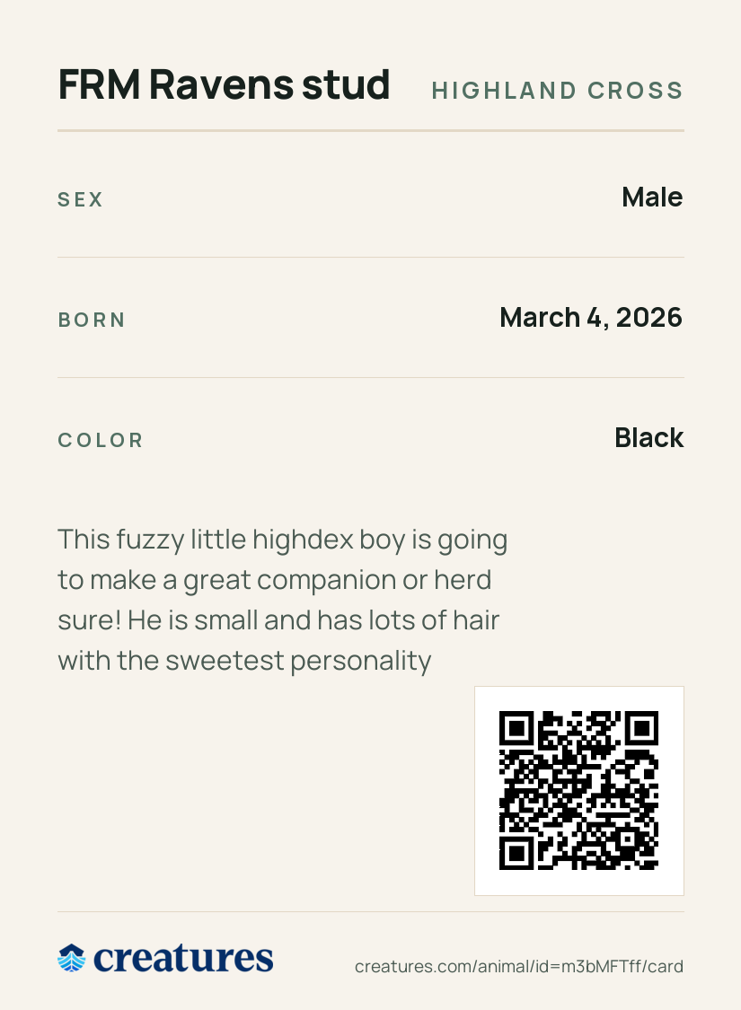 FRM Ravens stud Creature Card back