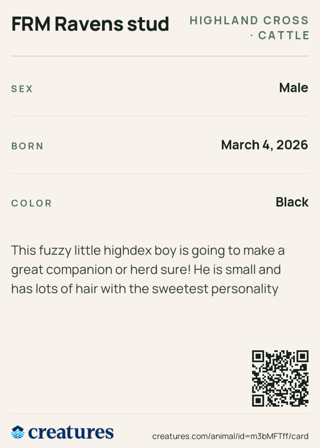 FRM Ravens stud Creature Card back