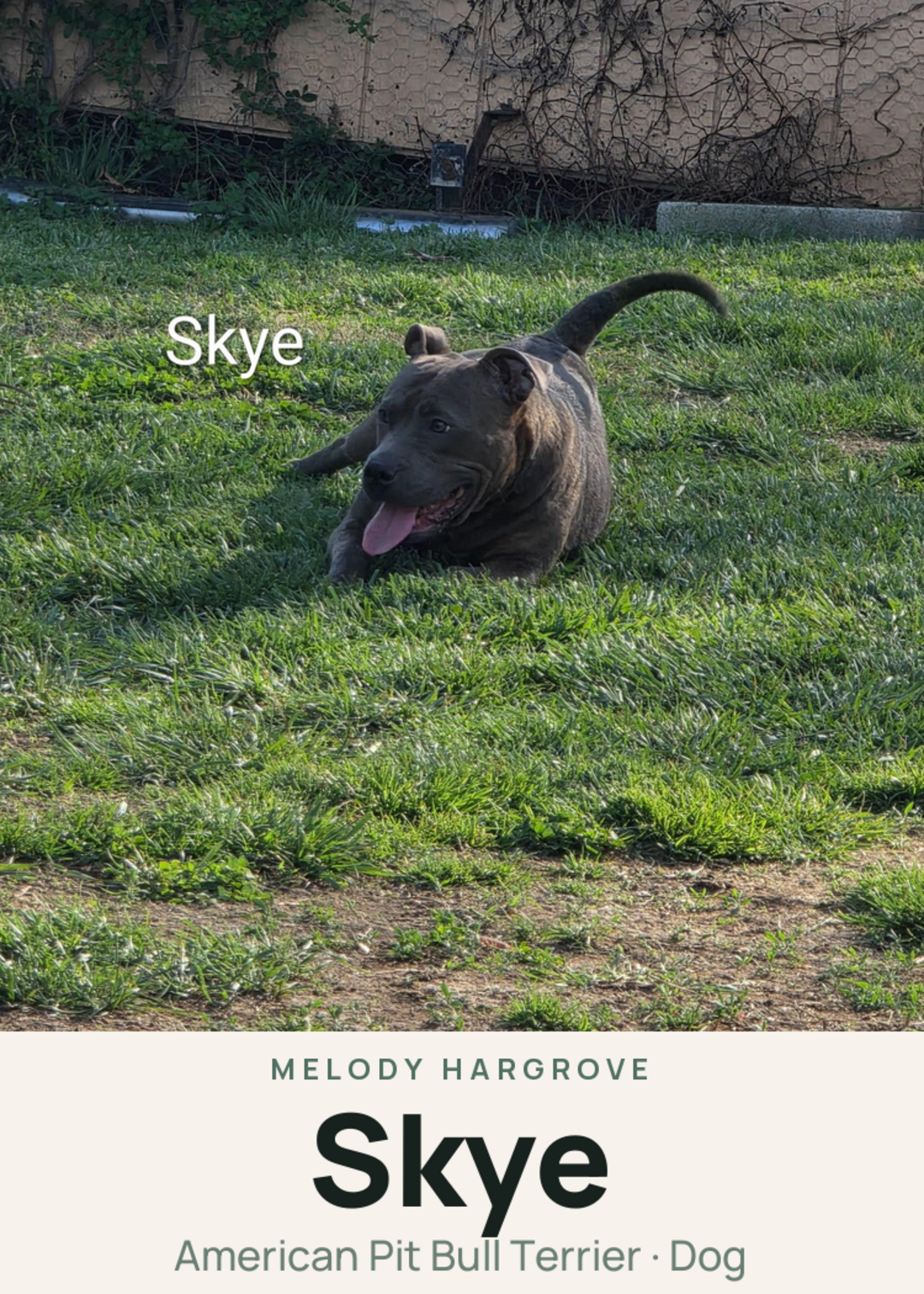 Skye Creature Card