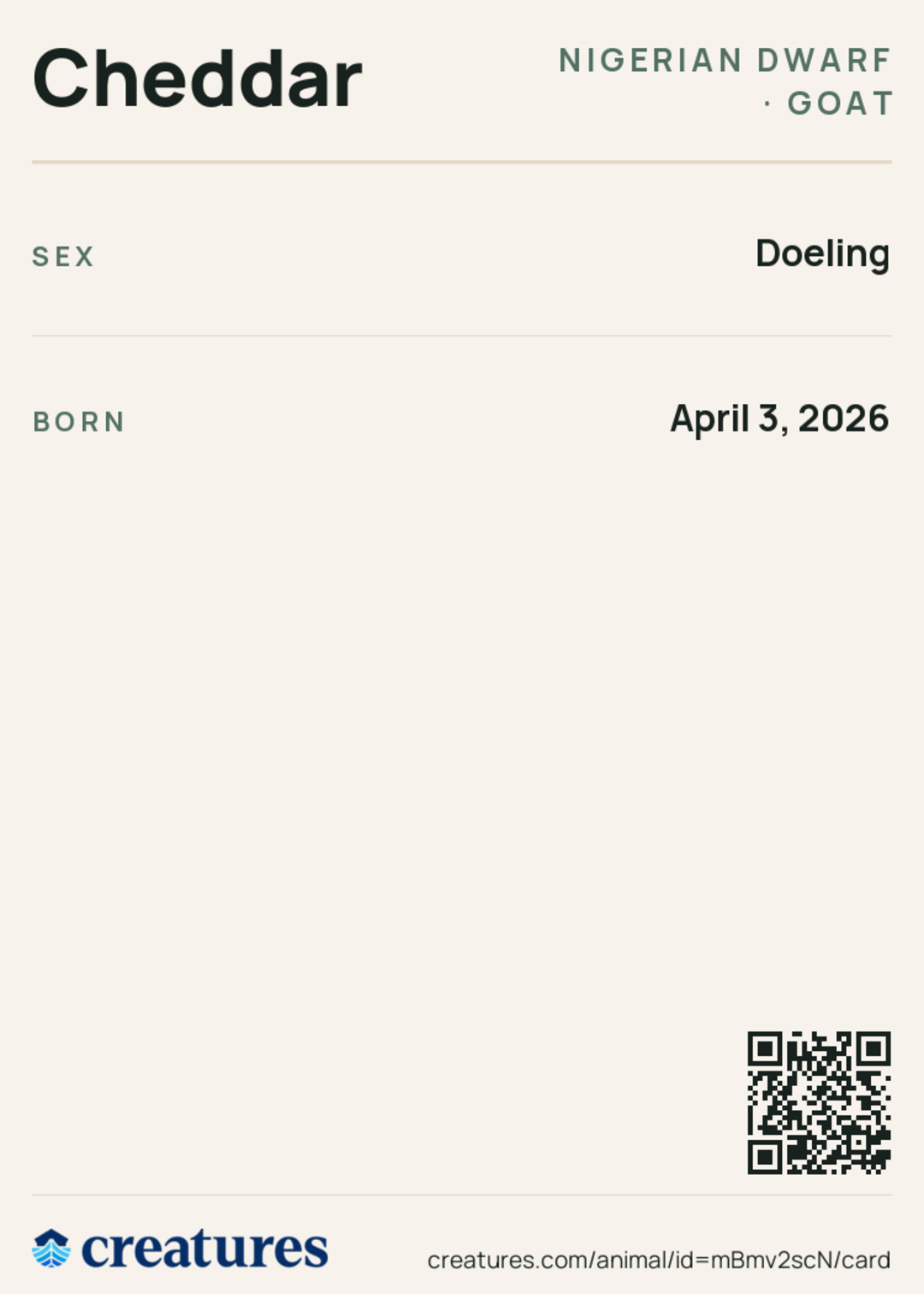 Cheddar Creature Card back