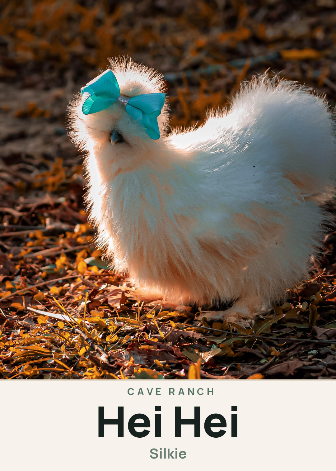 Hei Hei Creature Card