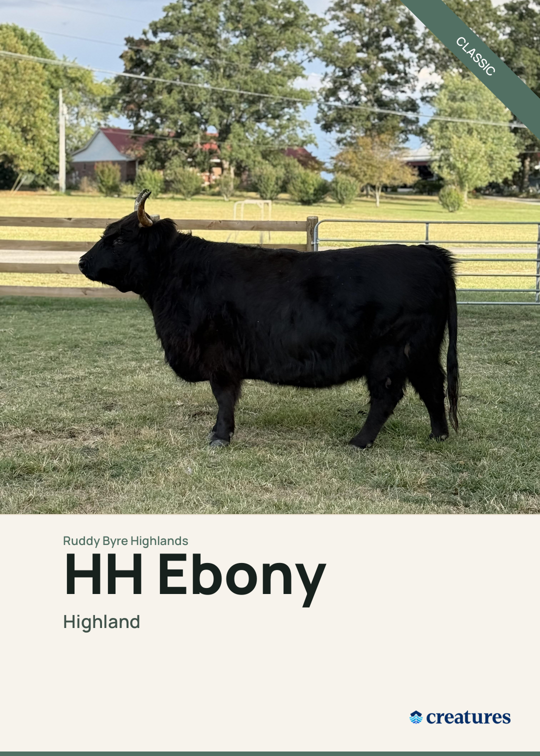 HH Ebony Creature Card