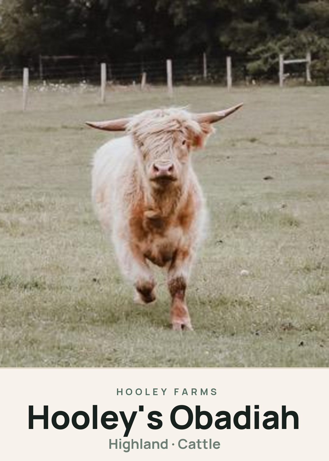 Hooley's Obadiah Creature Card