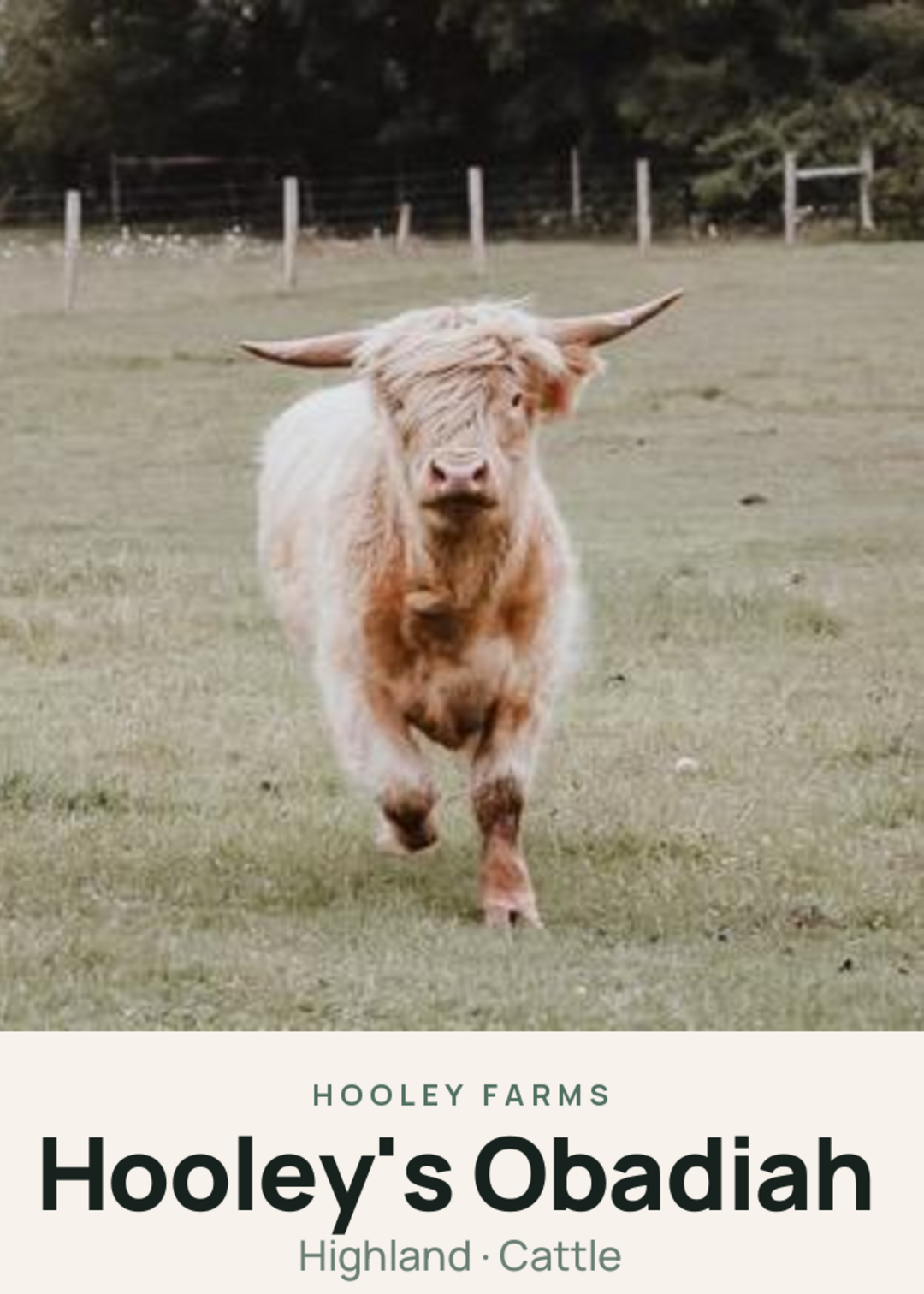 Hooley's Obadiah Creature Card