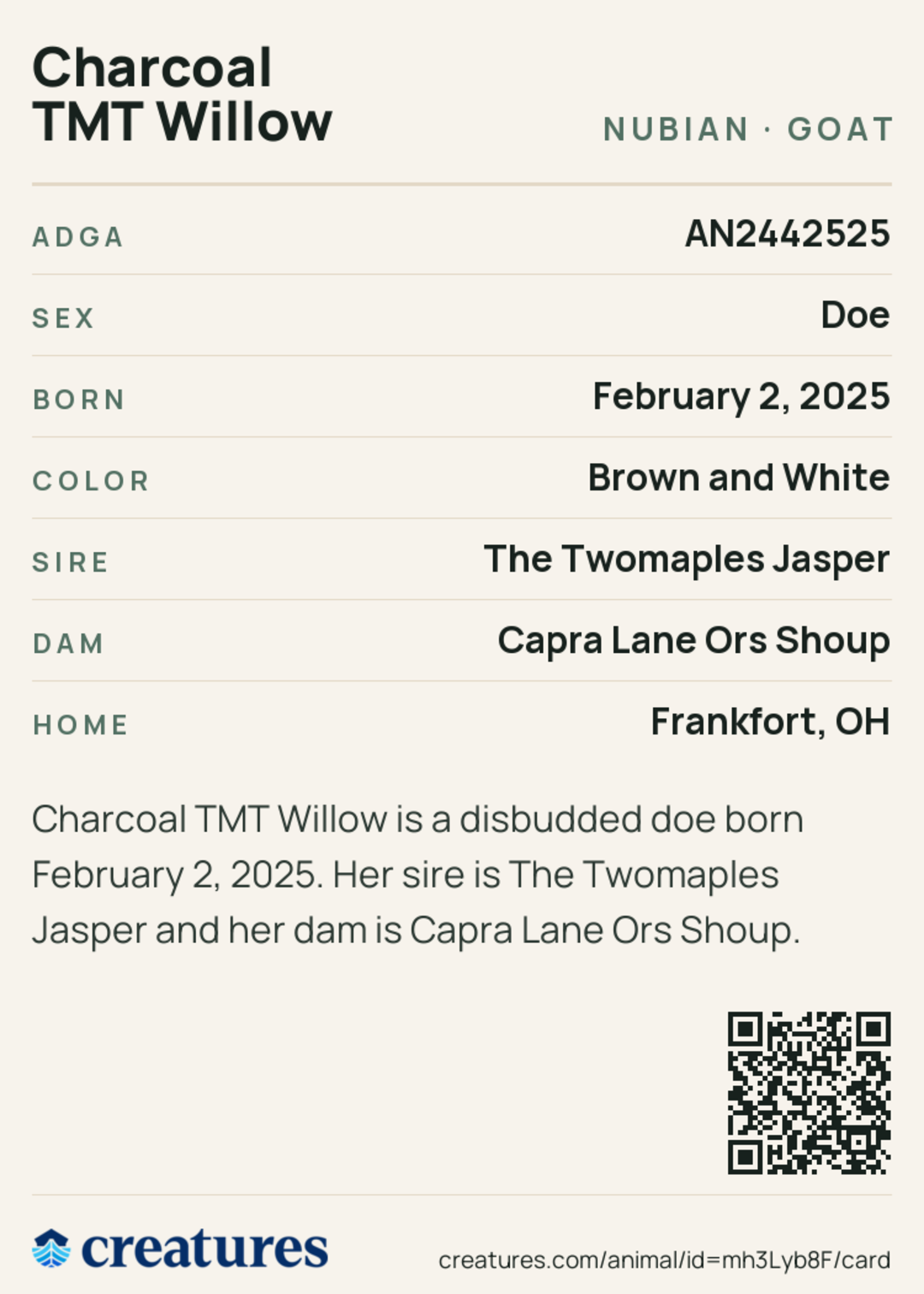 Charcoal TMT Willow Creature Card back