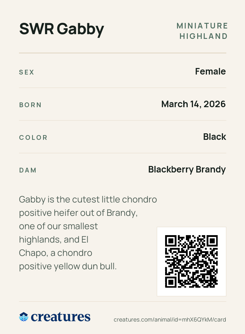 SWR Gabby Creature Card back