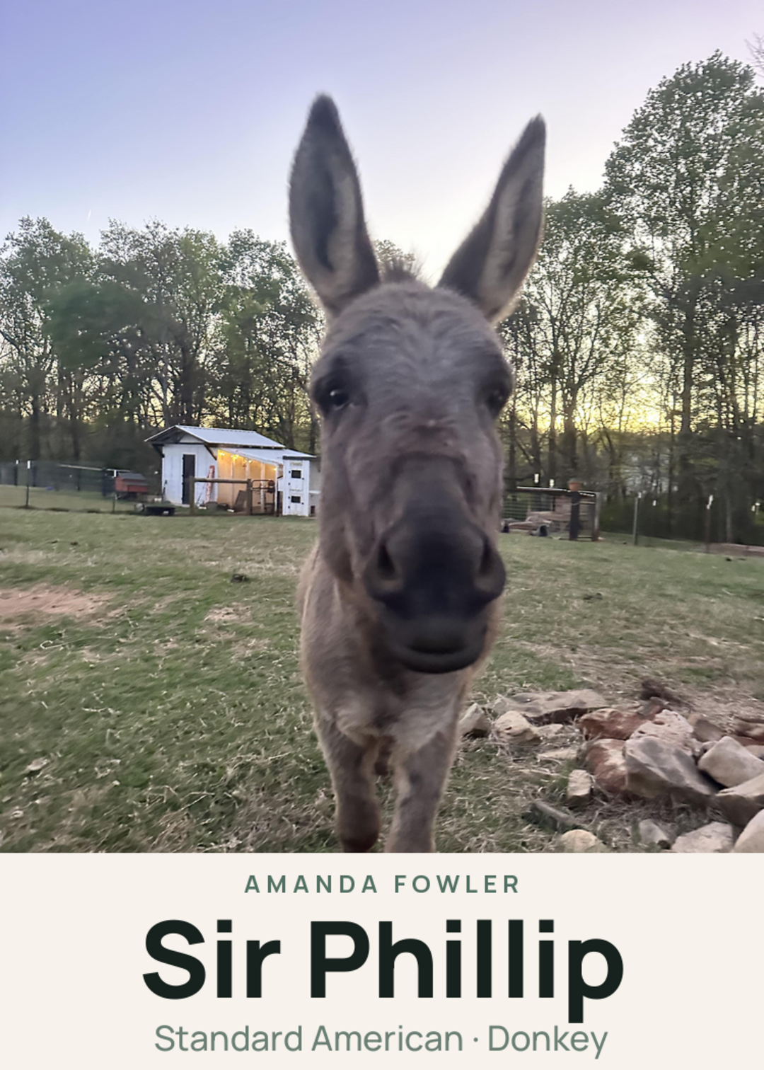 Sir Phillip Creature Card