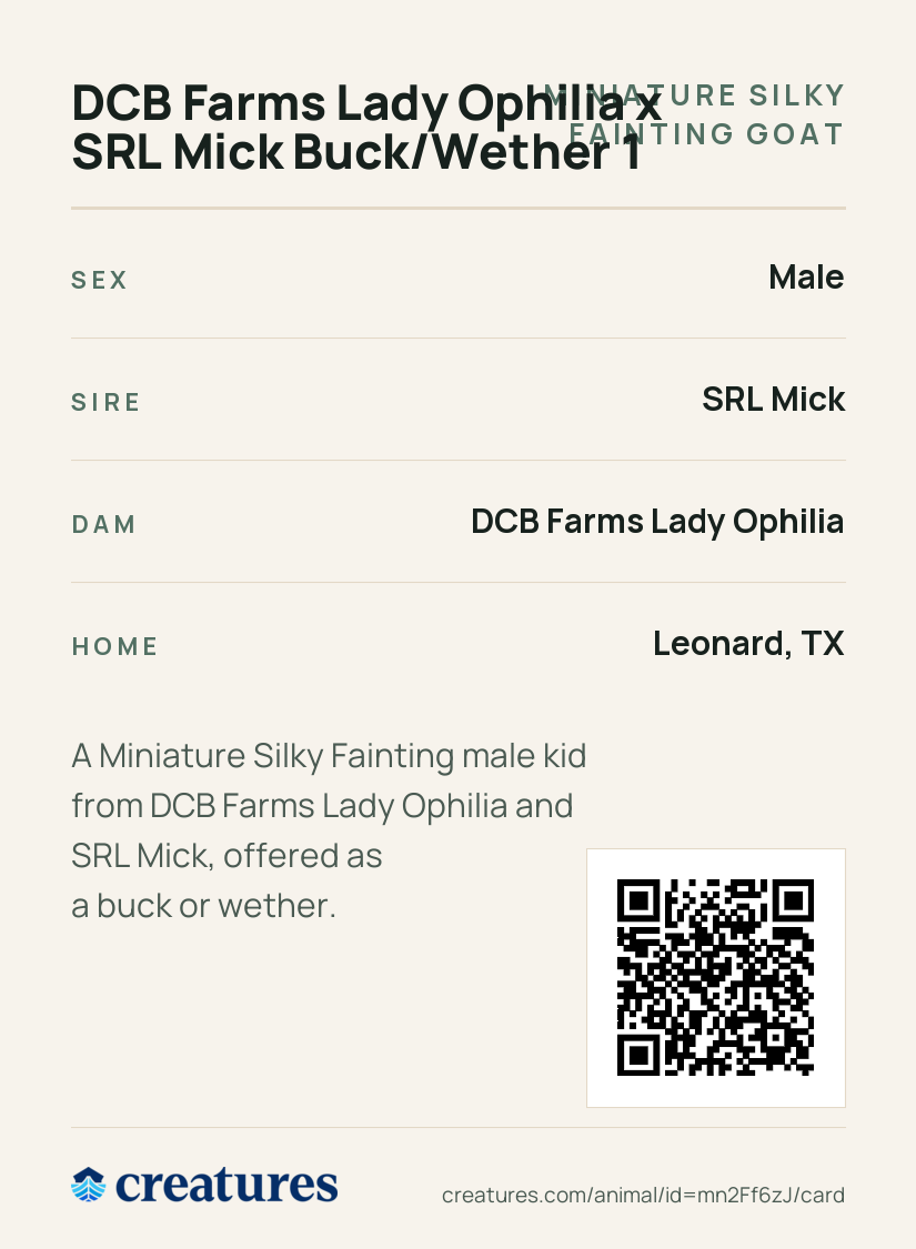 DCB Farms Lady Ophilia x SRL Mick Buck/Wether 1 Creature Card back
