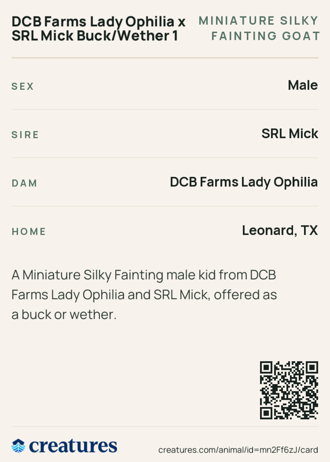 DCB Farms Lady Ophilia x SRL Mick Buck/Wether 1 Creature Card back