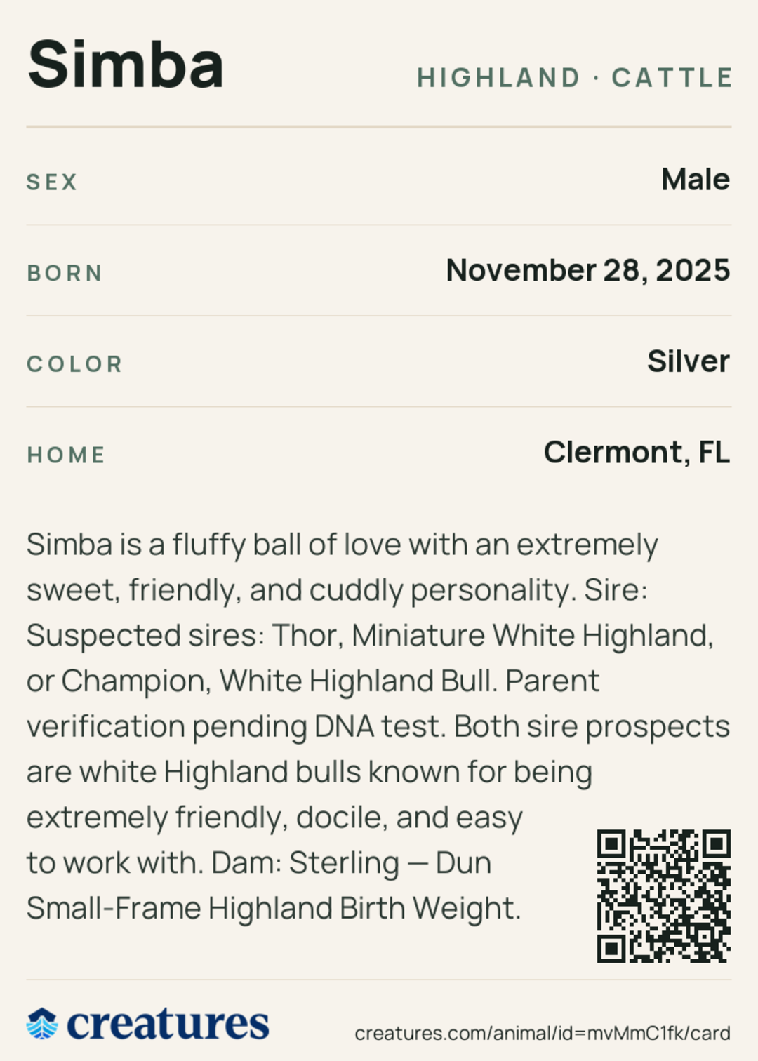 Simba Creature Card back