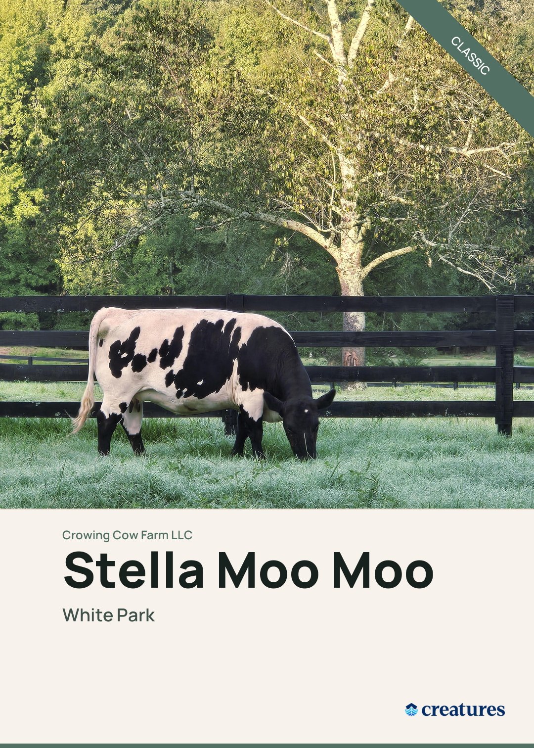 Stella Moo Moo Creature Card