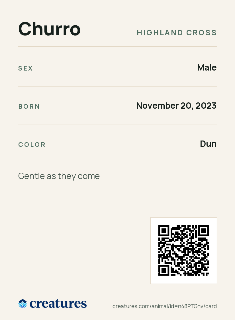 Churro Creature Card back