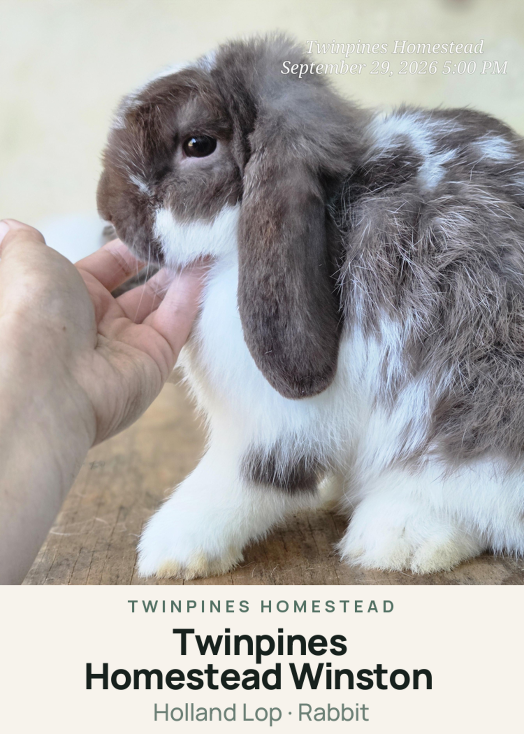 Twinpines Homestead Winston Creature Card
