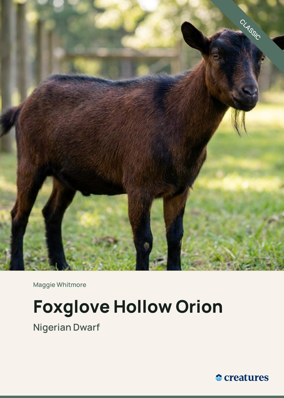 Foxglove Hollow Orion Creature Card