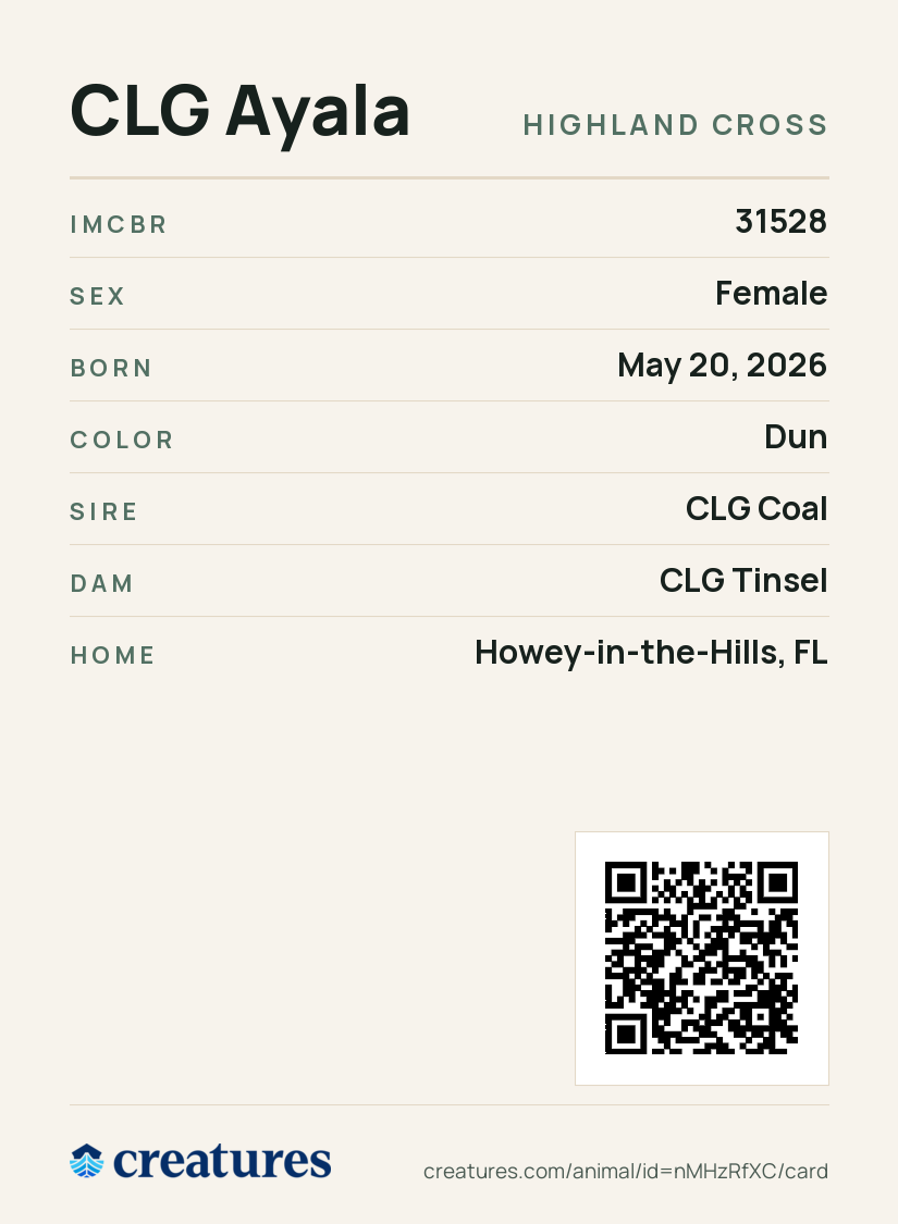 CLG Ayala Creature Card back
