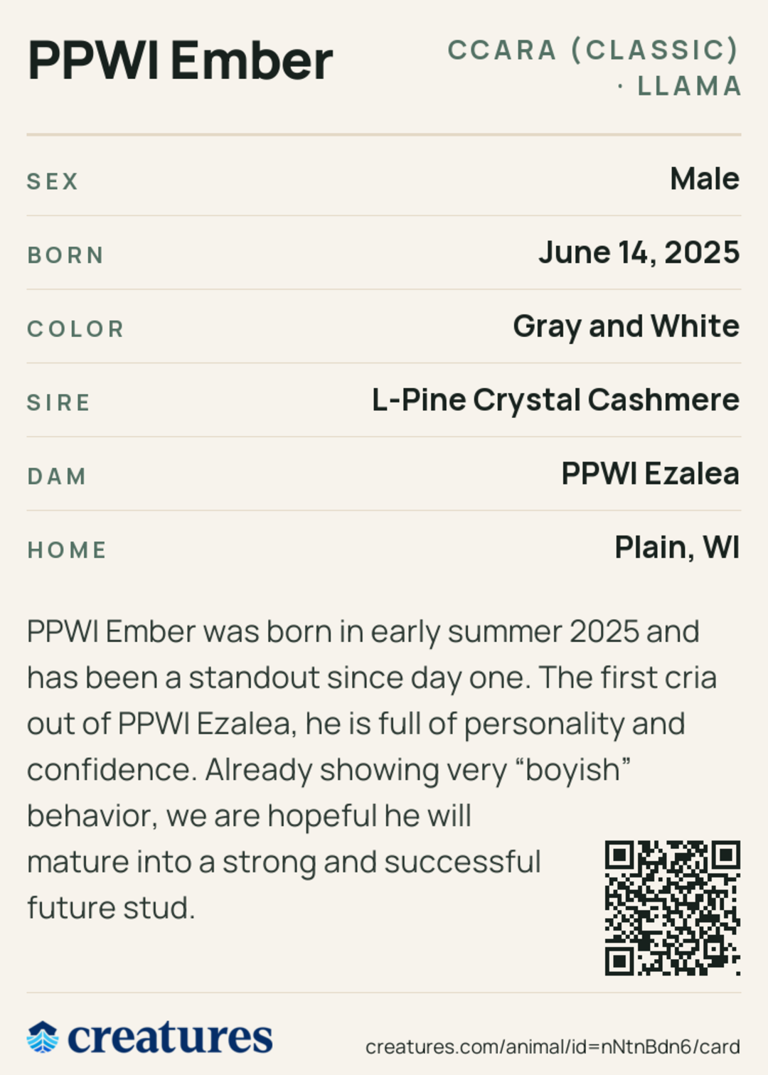 PPWI Ember Creature Card back