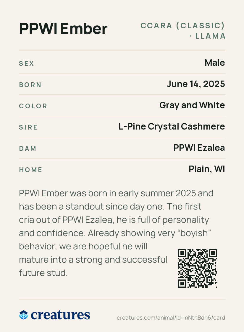 PPWI Ember Creature Card back