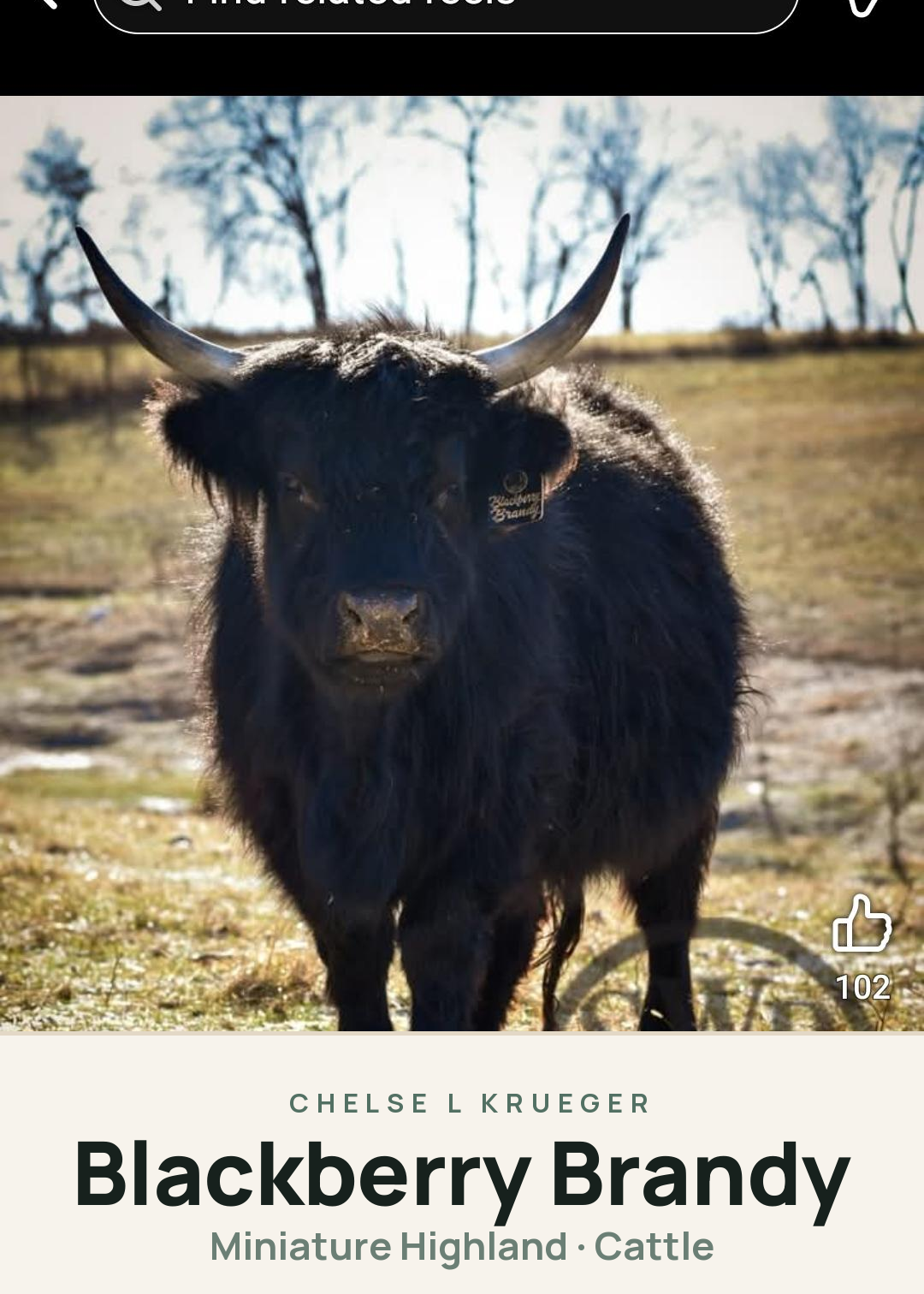Blackberry Brandy Creature Card