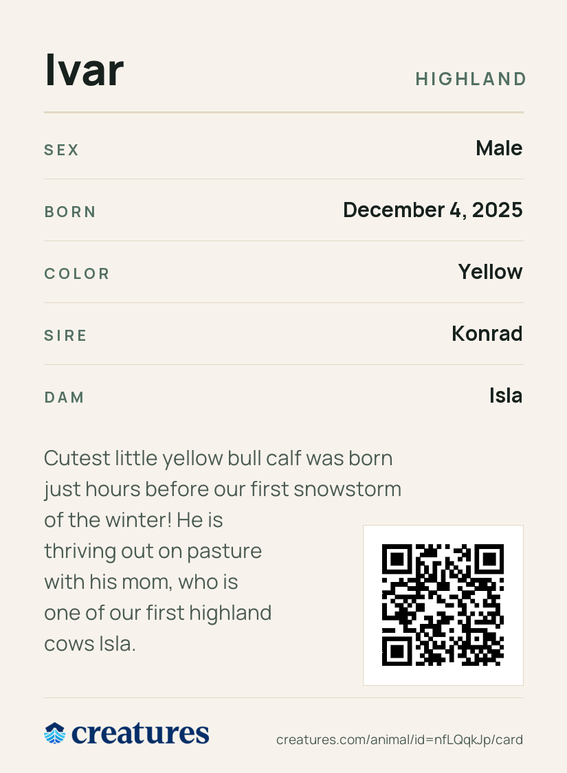 Ivar Creature Card back